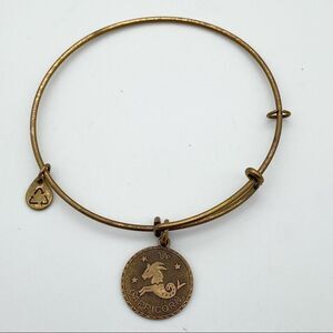 🍭6/$30 Alex & Ani Capricorn Charm Bracelet